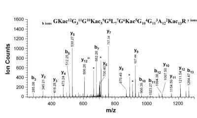 Spectrum of acylated histone H4 peptide