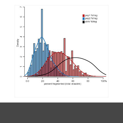 Improved cross-linking analysis software in Protein Prospector, by using information about the least confident peptide identification, is able to produce more reliable results. Improved cross-linking analysis software in Protein Prospector, by using information about the least confident peptide identification, is able to produce more reliable results.